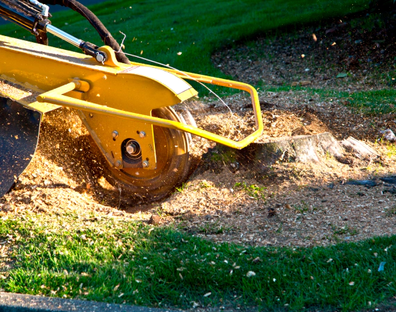 stump griding service